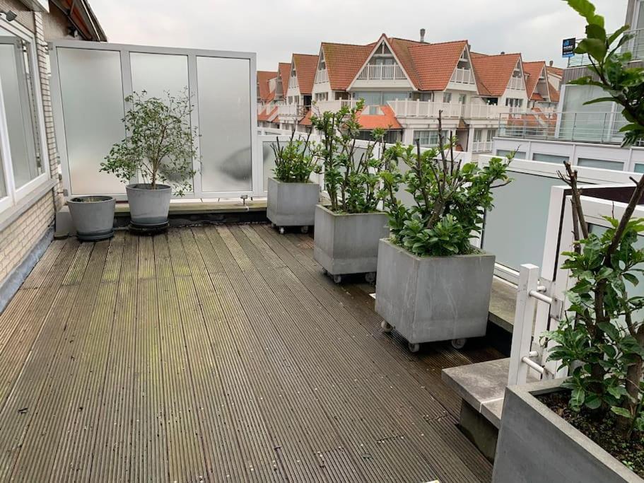 Zoute Penthouse Διαμέρισμα Knokke-Heist Εξωτερικό φωτογραφία